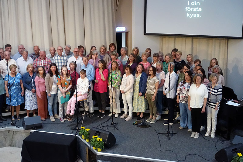Konsertbild