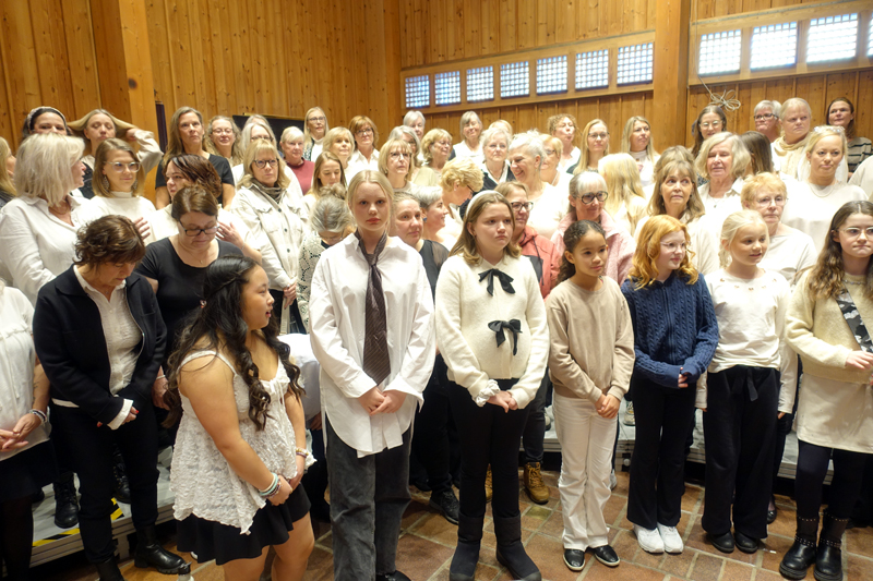 Konsertbild