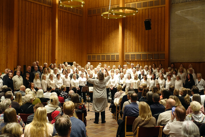 Konsertbild