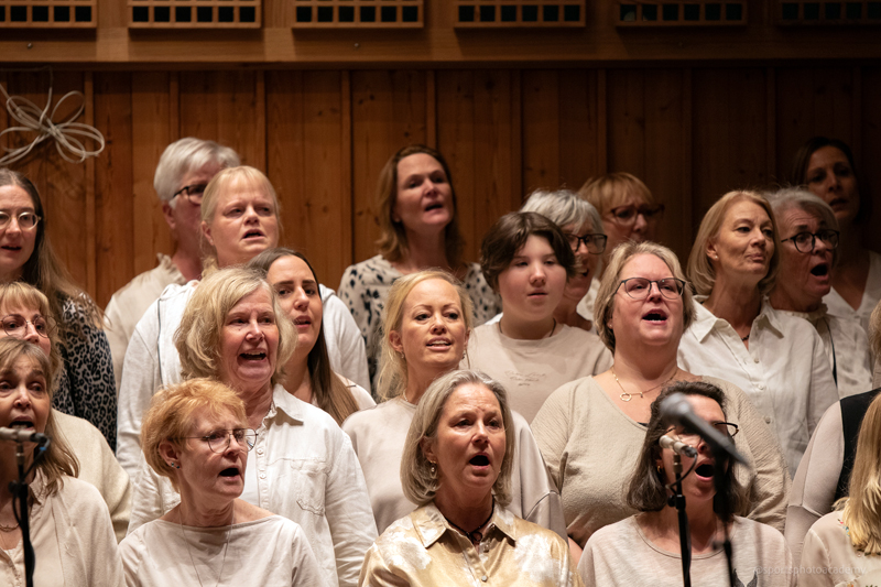 Konsertbild