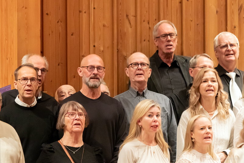 Konsertbild
