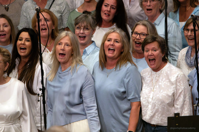 Konsertbild