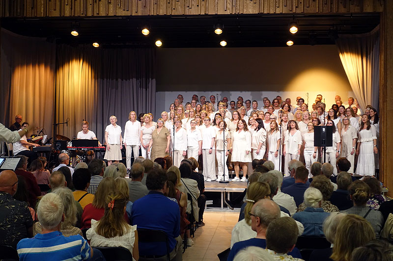 Konsertbild